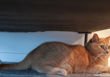 5 Easy Writing Tips to Finish Your Work