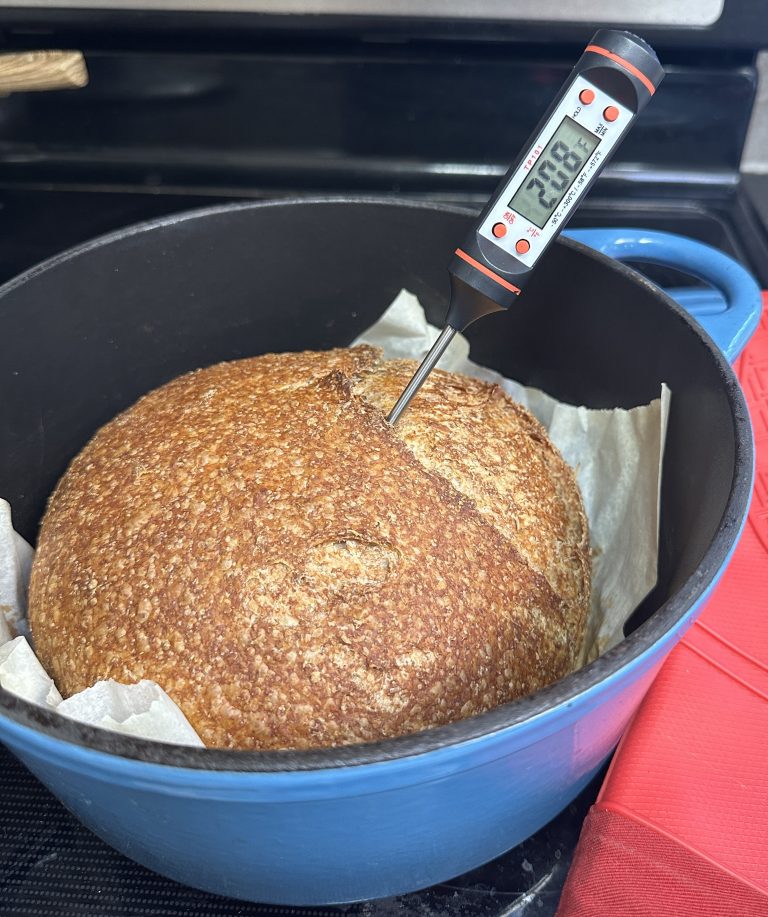 Diabetes-Friendly Whole Wheat Sourdough: My Amazing Blood Sugar Results